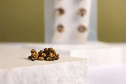 Microdosing pack – Magic truffles