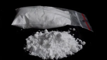 Dimethocaine ( Bath Salts, Eric 3, Mdat, Nps, Plant Food)